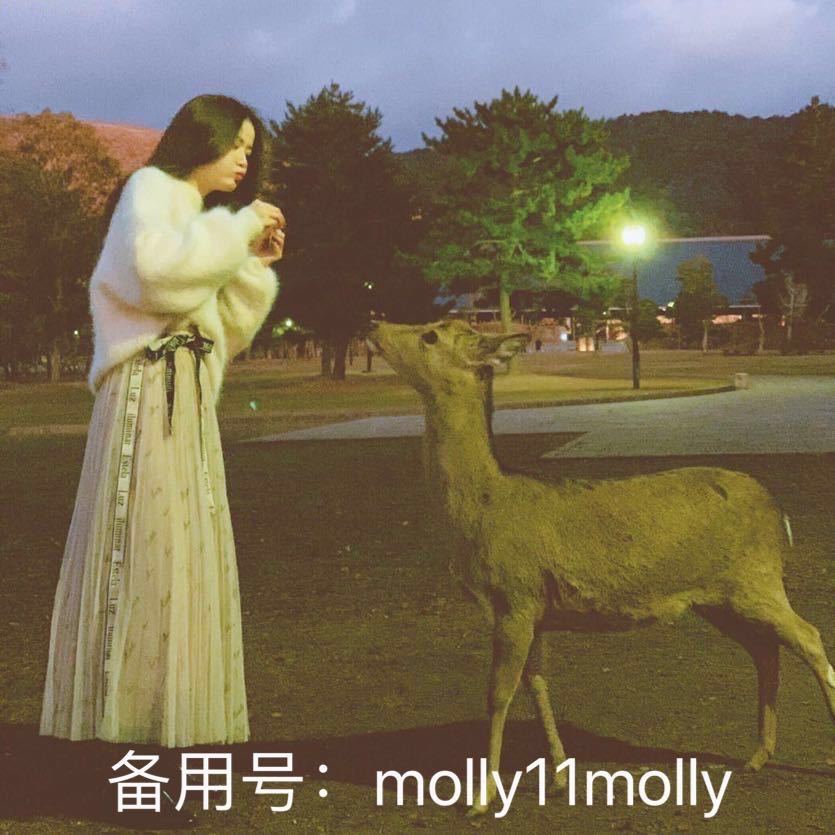 molly主号🛒认准头像购物 头像