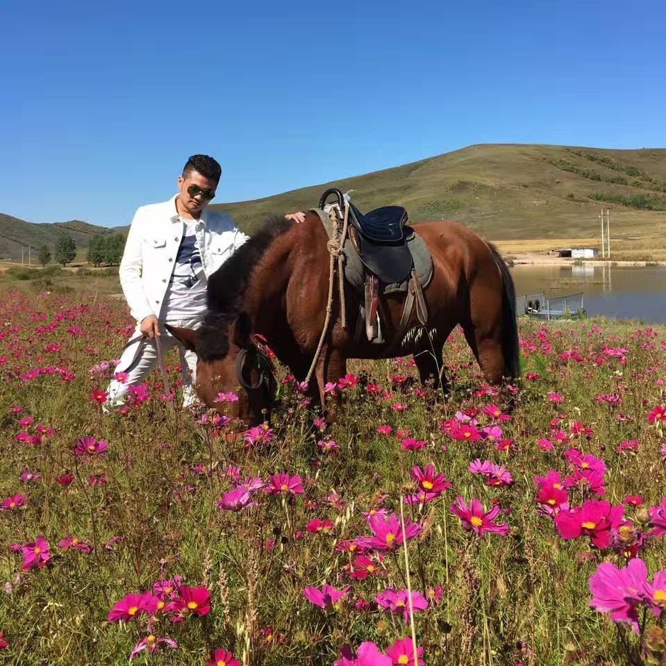 洛克贝莱 头像
