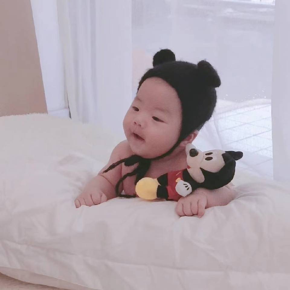 白鹭🐹 【 请订阅哈】 头像