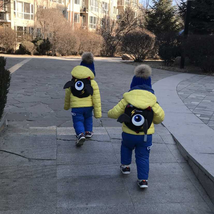 大卫英文绘本13804996752 的封面